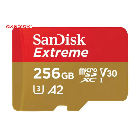SanDisk SDSQXAV-256G-GN6MA