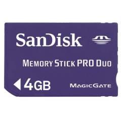 SANDISK 44745