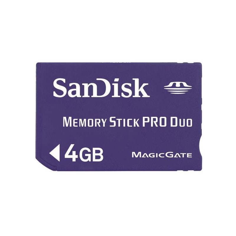 SANDISK 44745
