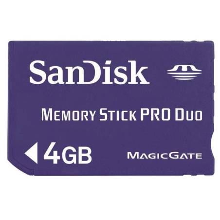SANDISK 44745