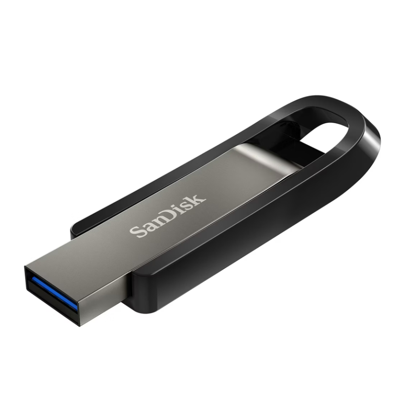 Sandisk Extreme Go 256 GB