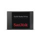 SANDISK SDSSDP-064G