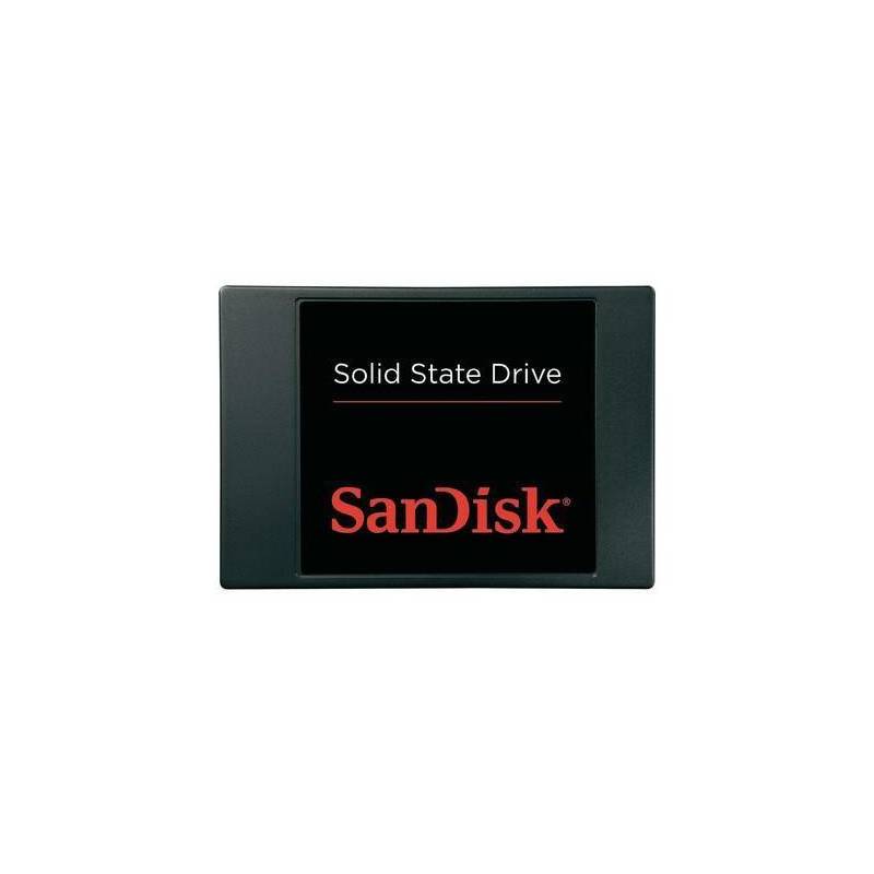 SANDISK SDSSDP-256G