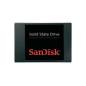 SANDISK SDSSDP-256G