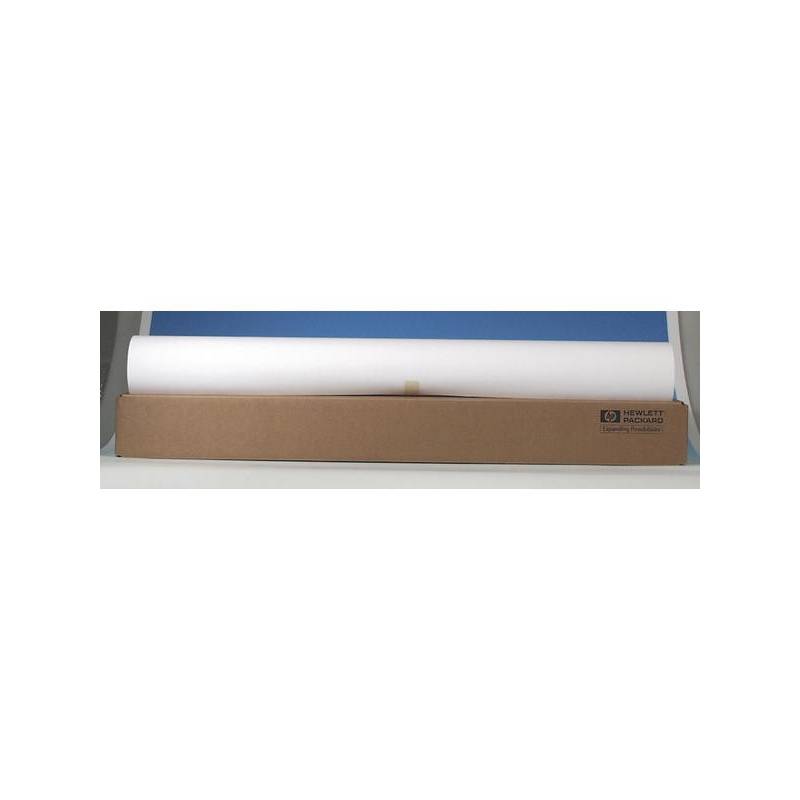HP C6030C