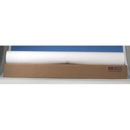 HP C6030C