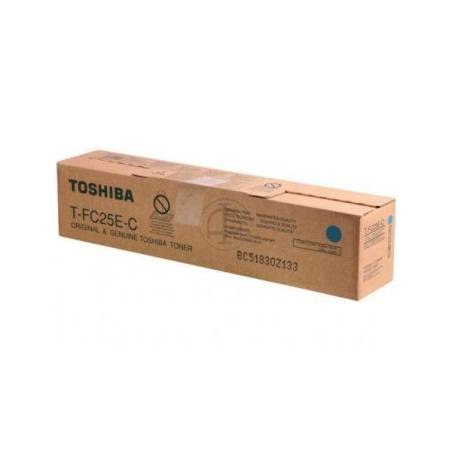 TOSHIBA TFC25EC