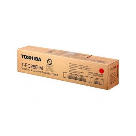TOSHIBA TFC25EM