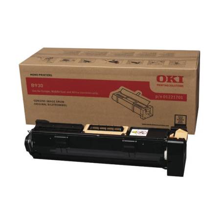 OKI 1221701