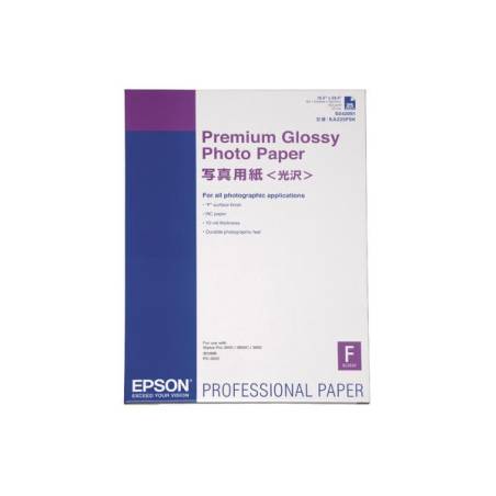 EPSON S042091