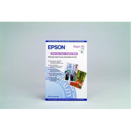 EPSON S041352