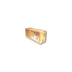RICOH 841396