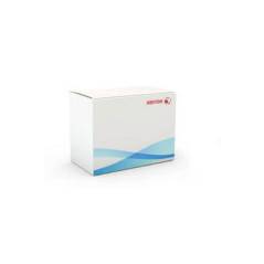 XEROX 108R01036